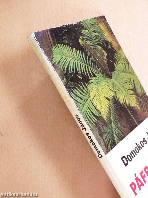 Páfrányok a lakásban és a kertben