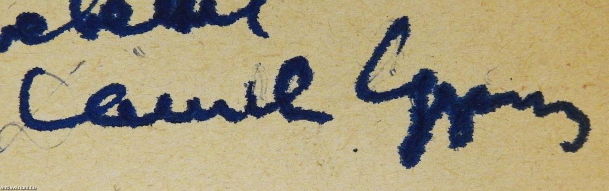 Antarktisz rejtélye (dedikált példány)