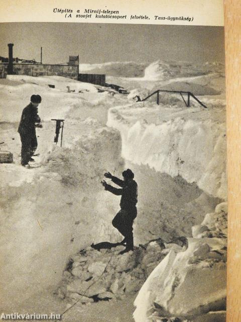 Antarktisz rejtélye (dedikált példány)