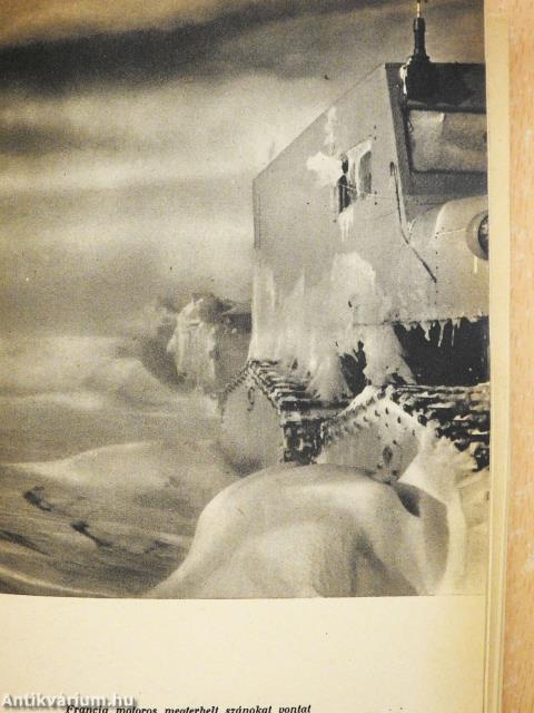 Antarktisz rejtélye (dedikált példány)