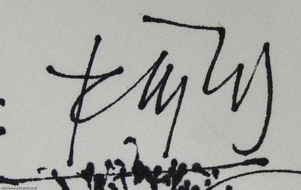 Fejlelemények (dedikált példány)