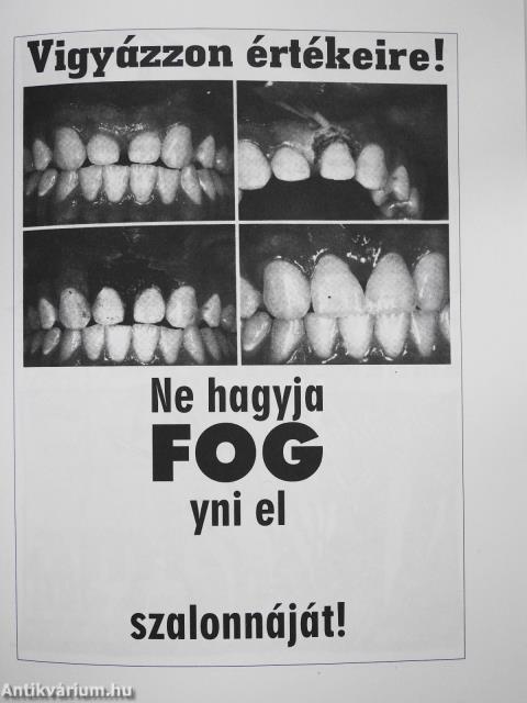 Szalonnapló (dedikált példány)