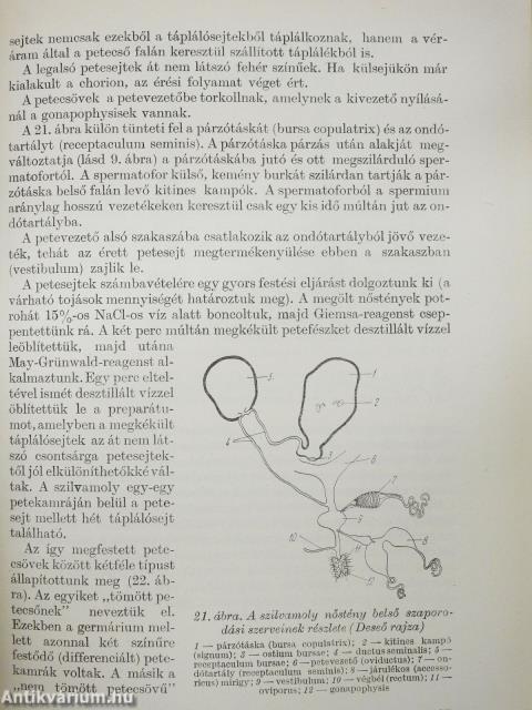 A szilvamoly (dedikált példány)