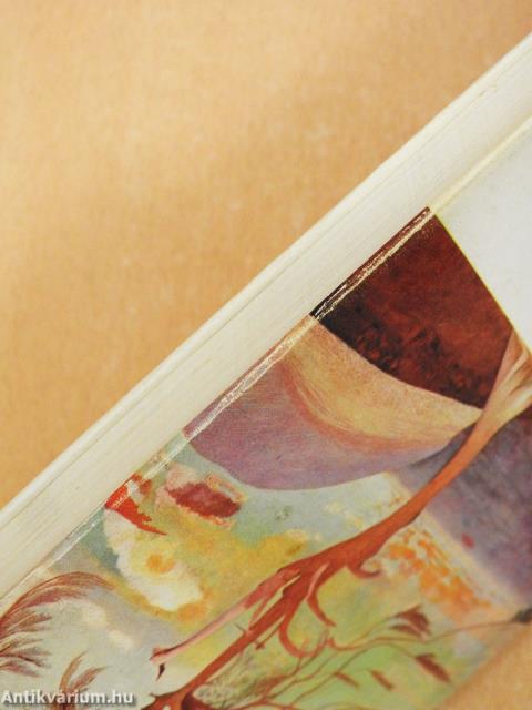 A magányosság iskolája (dedikált példány)