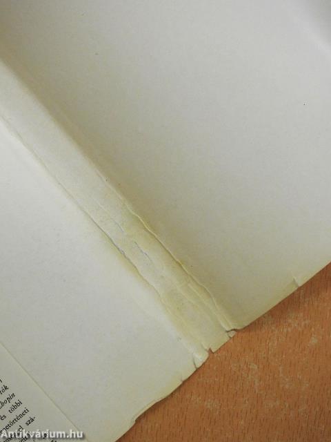 A magányosság iskolája (dedikált példány)