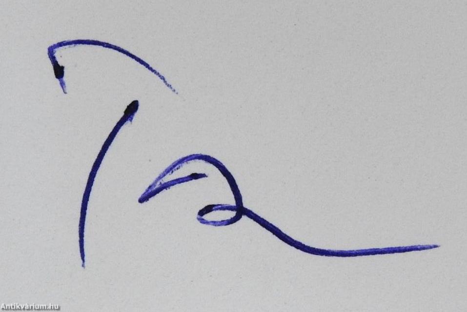 Ica néném elátkozott boldogsága - CD-vel (dedikált példány)