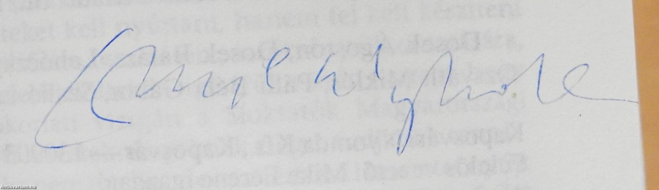 A sízés (dedikált példány)