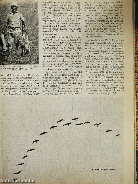 Nimród 1971. (nem teljes évfolyam)