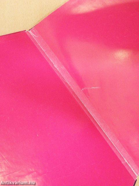 Hamupipőke tündéri karácsonya