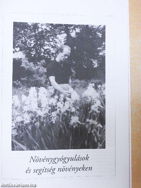 Bruno Gröning segít a szenvedő emberiségnek