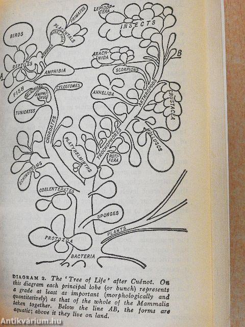 The Phenomenon of Man