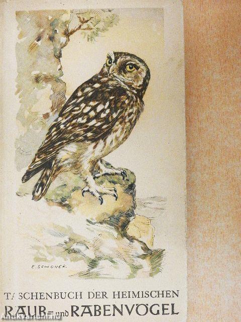 Raub- und Rabenvögel