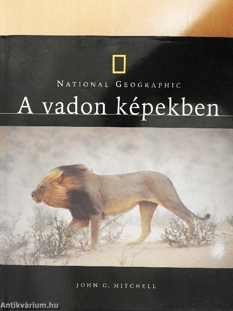 A vadon képekben