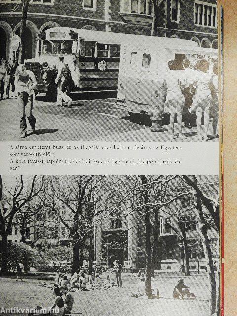 Levélcímünk: Chicago 60615...