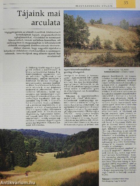 Pannon Enciklopédia - A magyarság kézikönyve