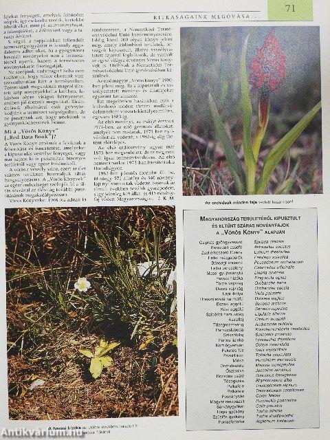 Pannon Enciklopédia - A magyarság kézikönyve