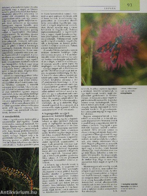 Pannon Enciklopédia - A magyarság kézikönyve