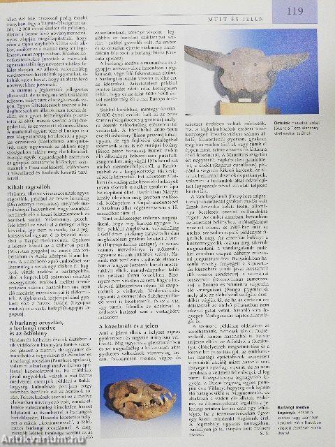 Pannon Enciklopédia - A magyarság kézikönyve