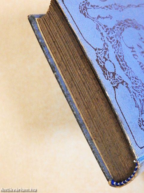 A tűz meghódítása