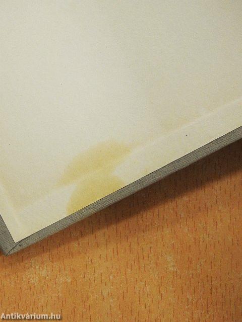 Littérature Hongroise, Littérature Européenne