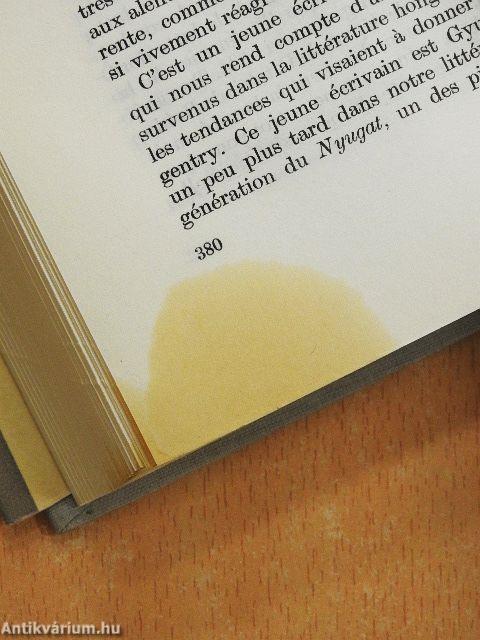 Littérature Hongroise, Littérature Européenne