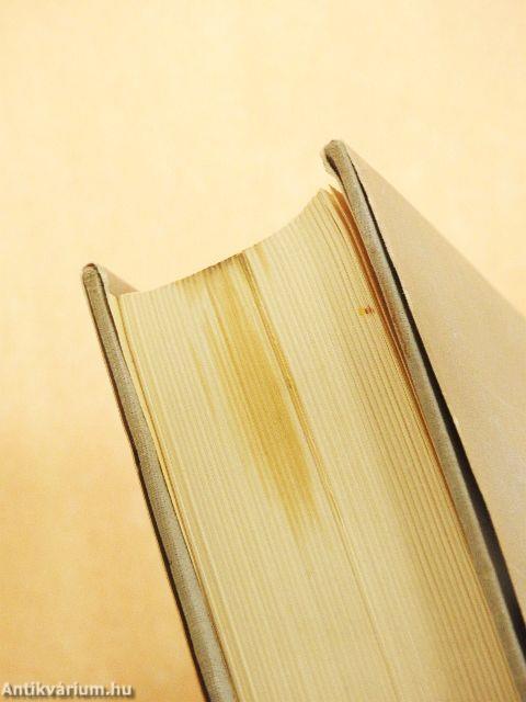 Littérature Hongroise, Littérature Européenne