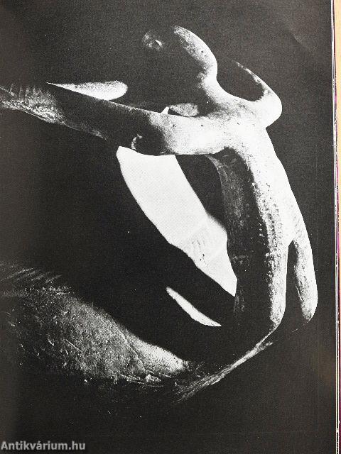 Auf den spuren der kelten in Ungarn