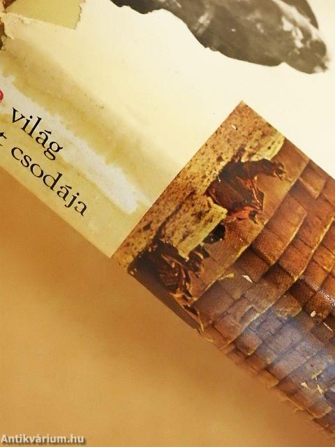 A világ hét csodája