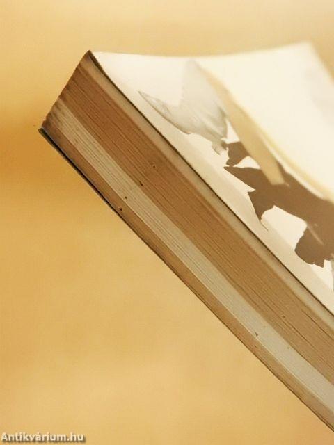 Nem vagyok én apáca