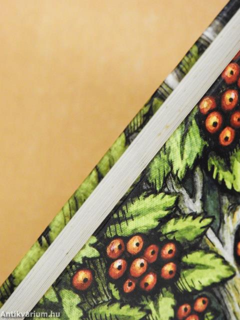 Nefelé (dedikált példány)