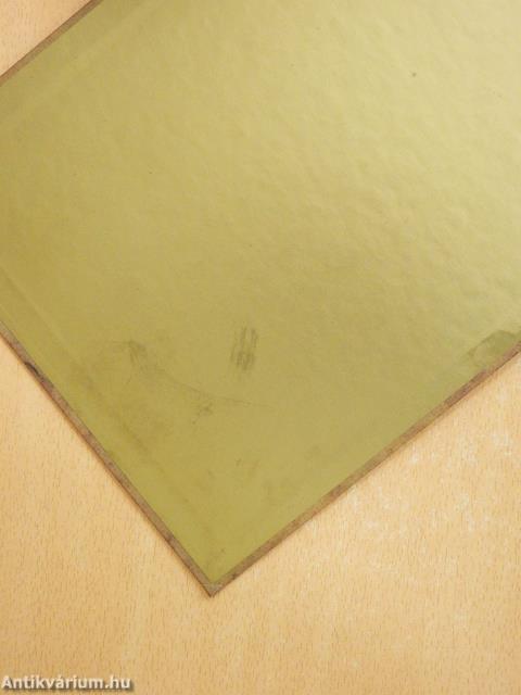 Volt egy csapat... Kell egy csapat (dedikált példány)