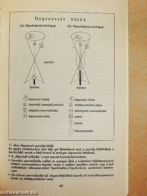 Holisztikus medicina