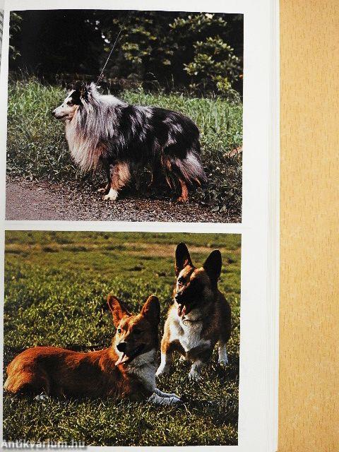 Simon & Schuster's Guide to Dogs