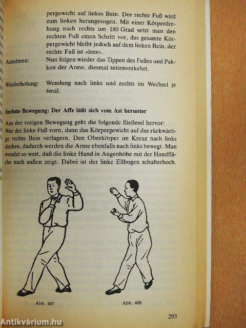 Das Tao der Selbstheilung