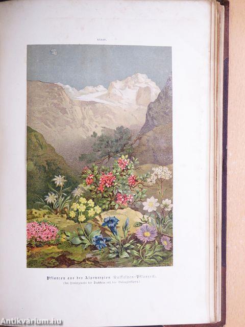 Unser Wissen von der Erde I-V. (gótbetűs)