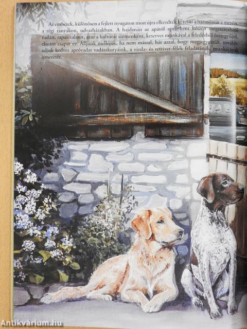 Vizsláskönyv (dedikált példány)