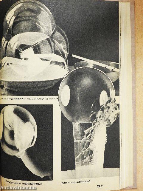 Lányok Évkönyve 1961