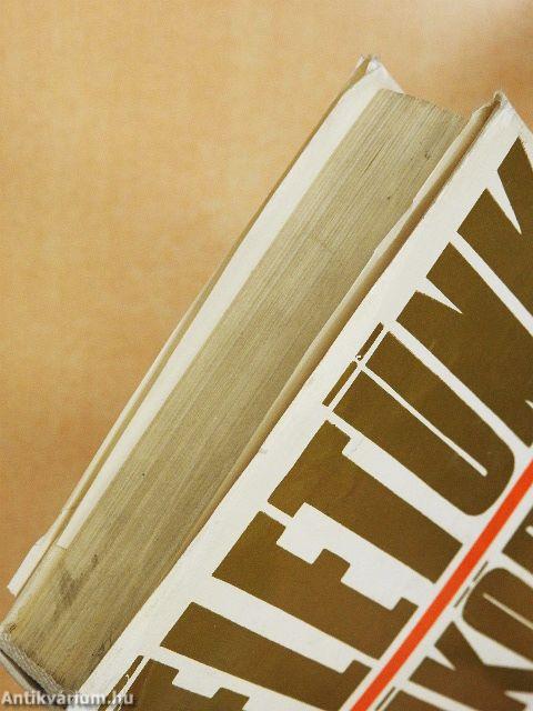 Életünk tükörben