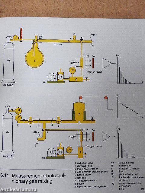 Contours of breathing 2.
