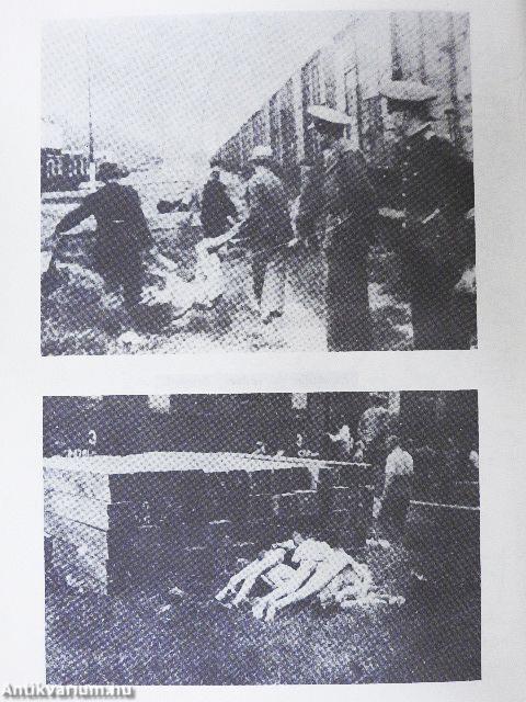 Holocaust in Rumania