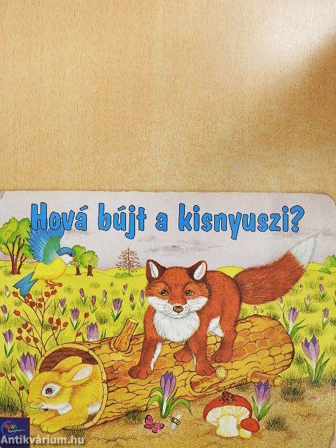 Hová bújt a kisnyuszi?