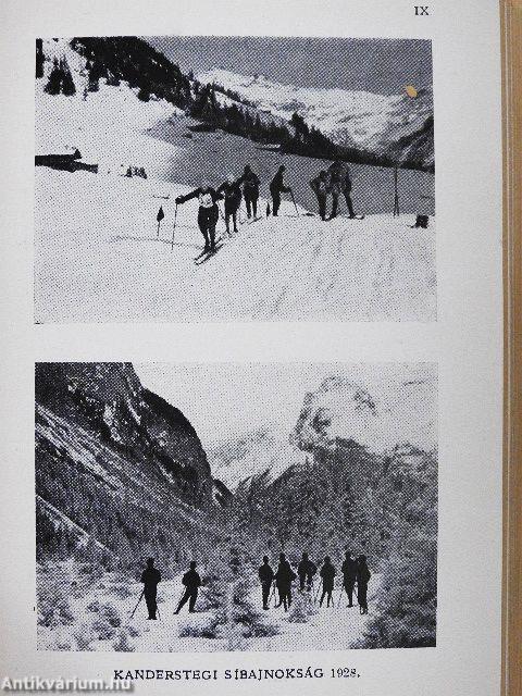 A 25. sz. Szent Imre cserkészcsapat 25 éve