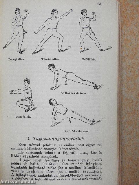 A testgyakorlás alapelemei