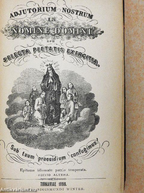 Adjutorium nostrum in nomine domini!