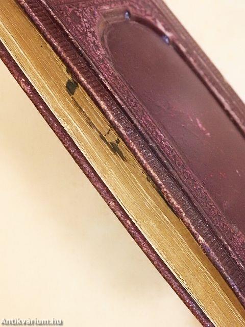 Adjutorium nostrum in nomine domini!