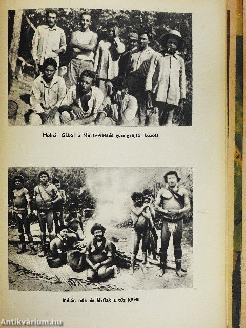 Az óriáskígyók földjén