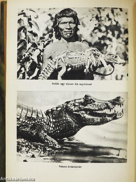 Az óriáskígyók földjén