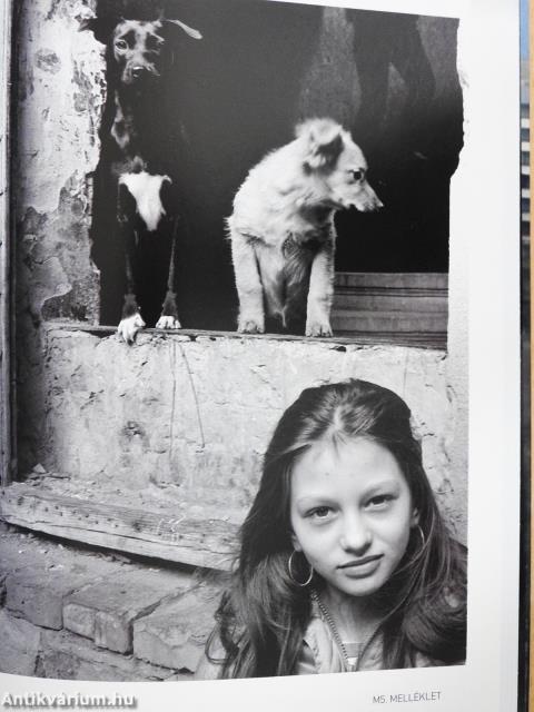 Város-Tervező-Társadalom (kétszeresen aláírt példány)