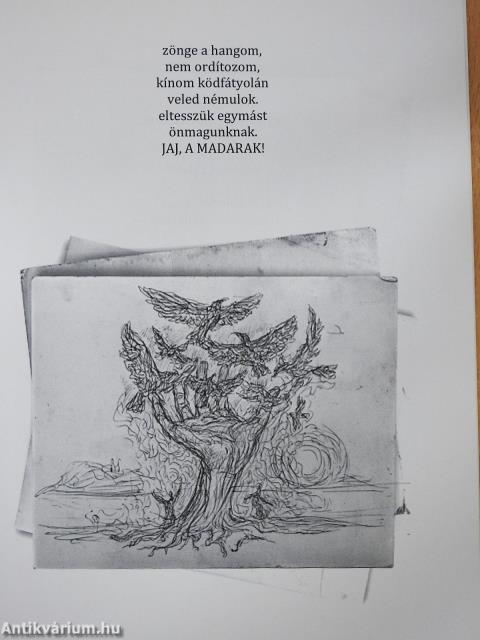 Szócserepek (dedikált példány)