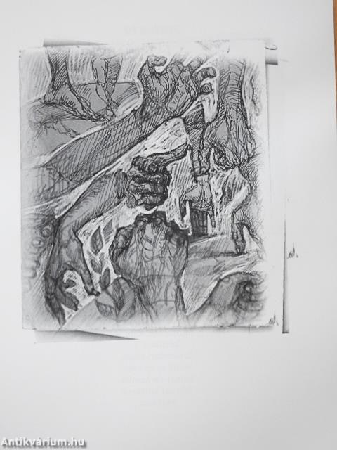 Szócserepek (dedikált példány)